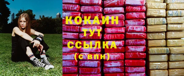 спиды Алзамай