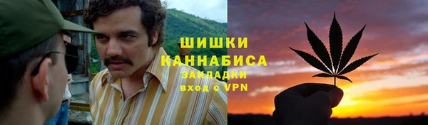 спиды Алзамай