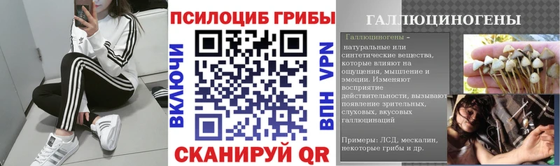Галлюциногенные грибы MAGIC MUSHROOMS  shop состав  Луза 